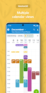 Teamup Calendar