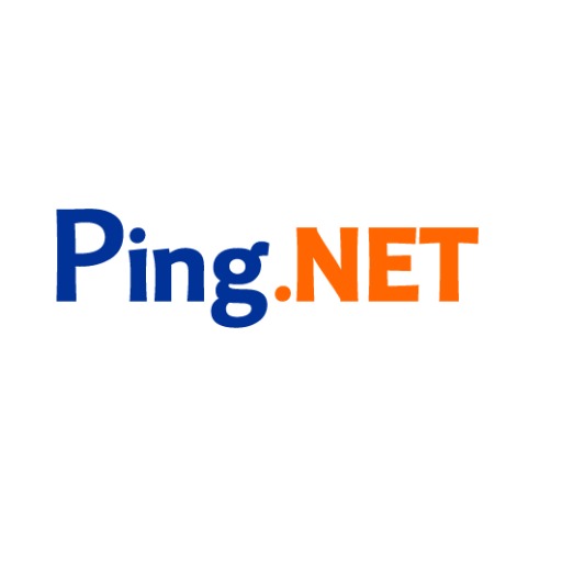 Ping Cam logo