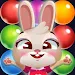 Bunny Pop 21.0730.00