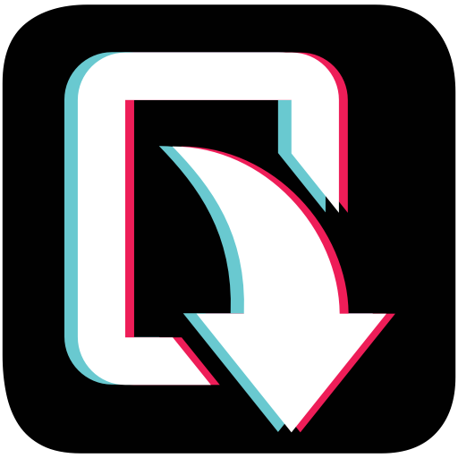 TualGet Video Downloader logo