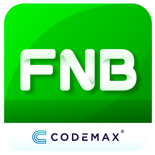 FNB System logo