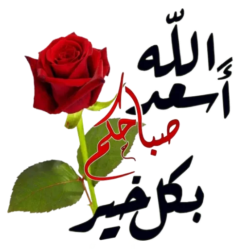 ملصقات صباح الخير و مساء الخير logo