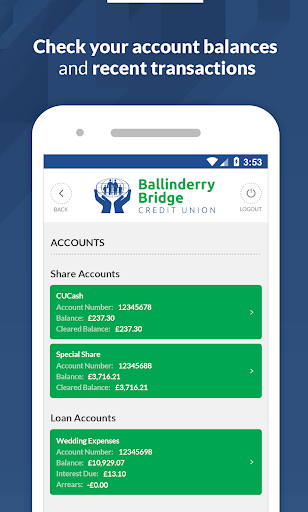 Ballinderry Bridge CU Screen 2