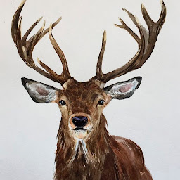 Icon image Beautiful Deer Wallpapers