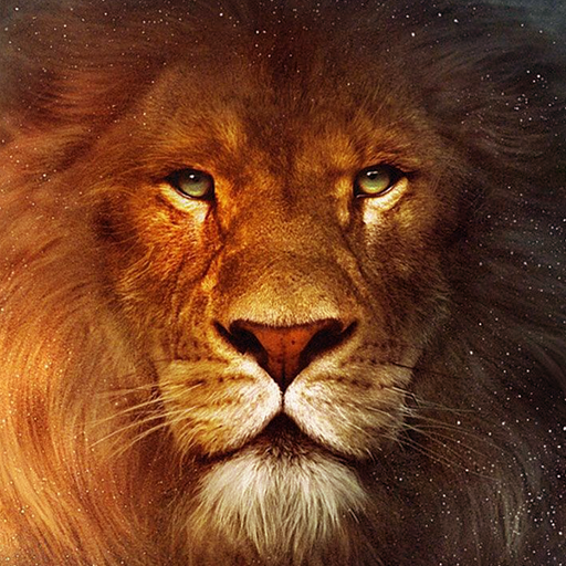 lion wallpaper