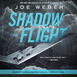 Icon image Shadow Flight: A Novel