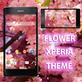 Flower Theme Free for Xperia icon