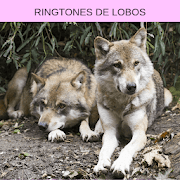 Ringtones de lobos, tonos y sonidos de lobos
