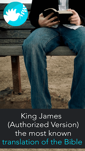 King James Bible Offline Screen 3