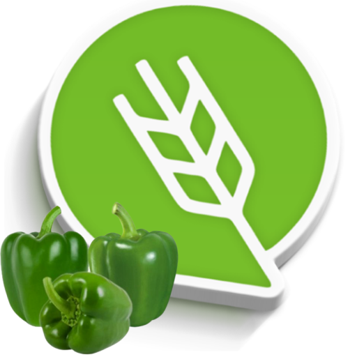 ढोबळी मिरची लागवड #Agrownet™ logo