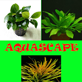 Cara Membuat Aquascape icon