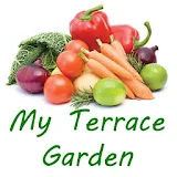 My Terrace Garden icon