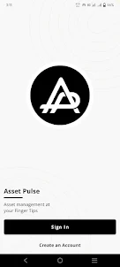 Asset Pulse