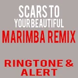 Scars To your Beautiful tone icon