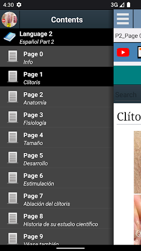 Vista previa de la aplicación