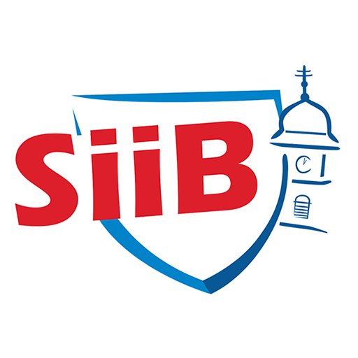 SiiB - Informiert in Bisamberg