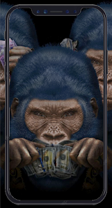 Monkey Wallpaper HD
