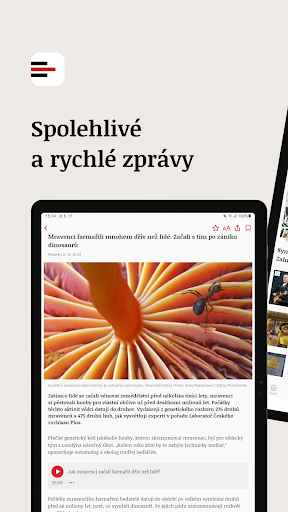 iROZHLAS screenshot 14