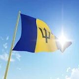 Flag of Barbados icon