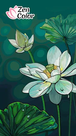 Game screenshot Zen Color - Цвет по номеру mod apk