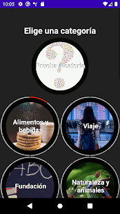 Vista previa de la aplicación