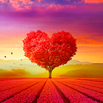 Cover Image of Download Love Wallpapers 4K HD 0.0.2 APK