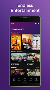 Roku 2024 mobile app