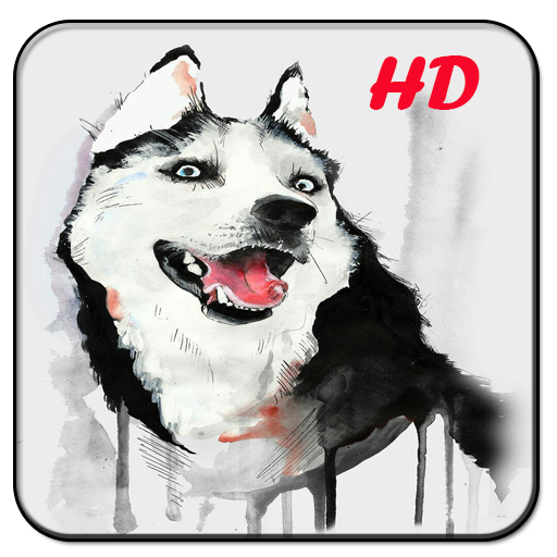 Siberian Husky Wallpapers – Apps bei