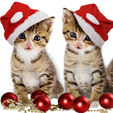 Pet Christmas Wallpaper HD icon