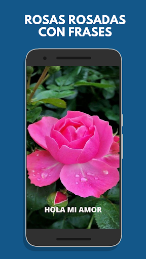 Android application Roses and beautiful flowers screenshort