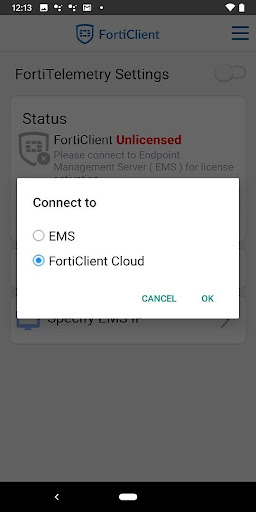 FortiClient Screen 2