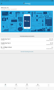 Screenshot image