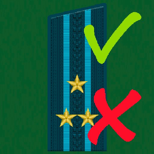 Погоны и звания ВС РФ logo
