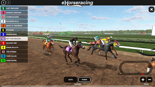 eHorseracing.com Race Viewer Screen 3