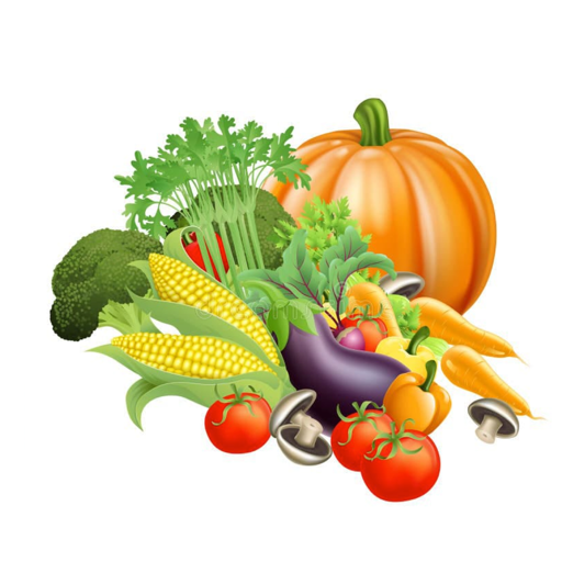 Daily Fresh logo