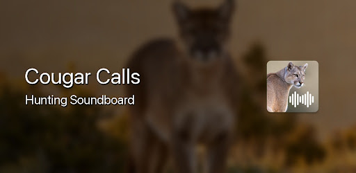 Cougar Hunting Calls
