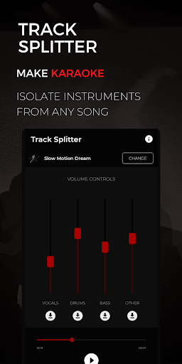 Screenshot of Backtrackit: Musicians Player