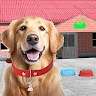 download Pet Animal Shelter Rescue Game apk