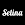 Selina Hotel Travel & Explore