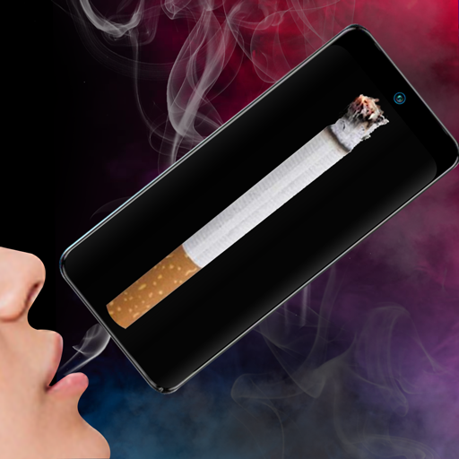 Virtual Lighter Simulator logo