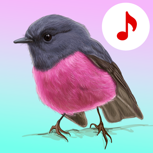 أغاني الطيور: نغمات