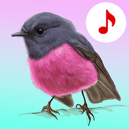 Immagine dell'icona Canzoni degli uccelli Suonerie