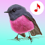 Bird Songs: Ringtones