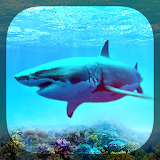 Sharks Live Wallpaper icon