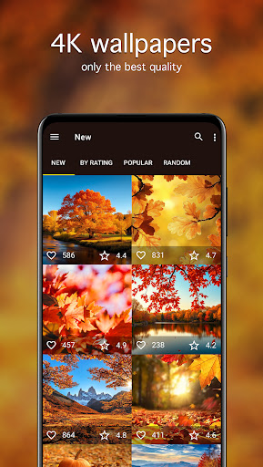 Screenshot of Autumn Wallpapers 4K