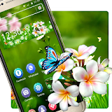 Spring Flowers Launcher icon