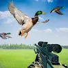 Duck Hunting with Gun icon