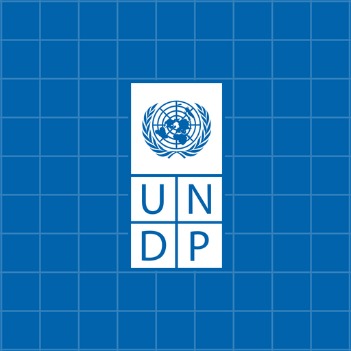 UNDP Augmented Development