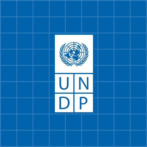 UNDP Augmented Development  Icon