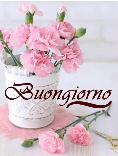 buongiorno buonasera buonanotte